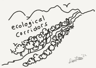 Ecological Corridors illustration