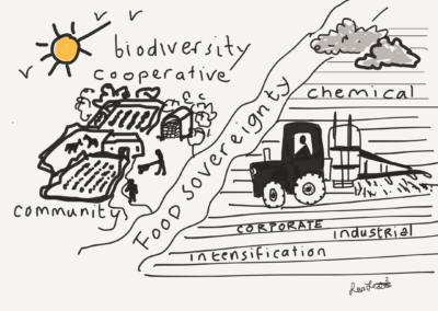 Transition Farming illustration