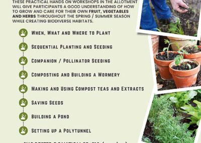 Rahoonan Allotments Grow Your Own Programme 2024